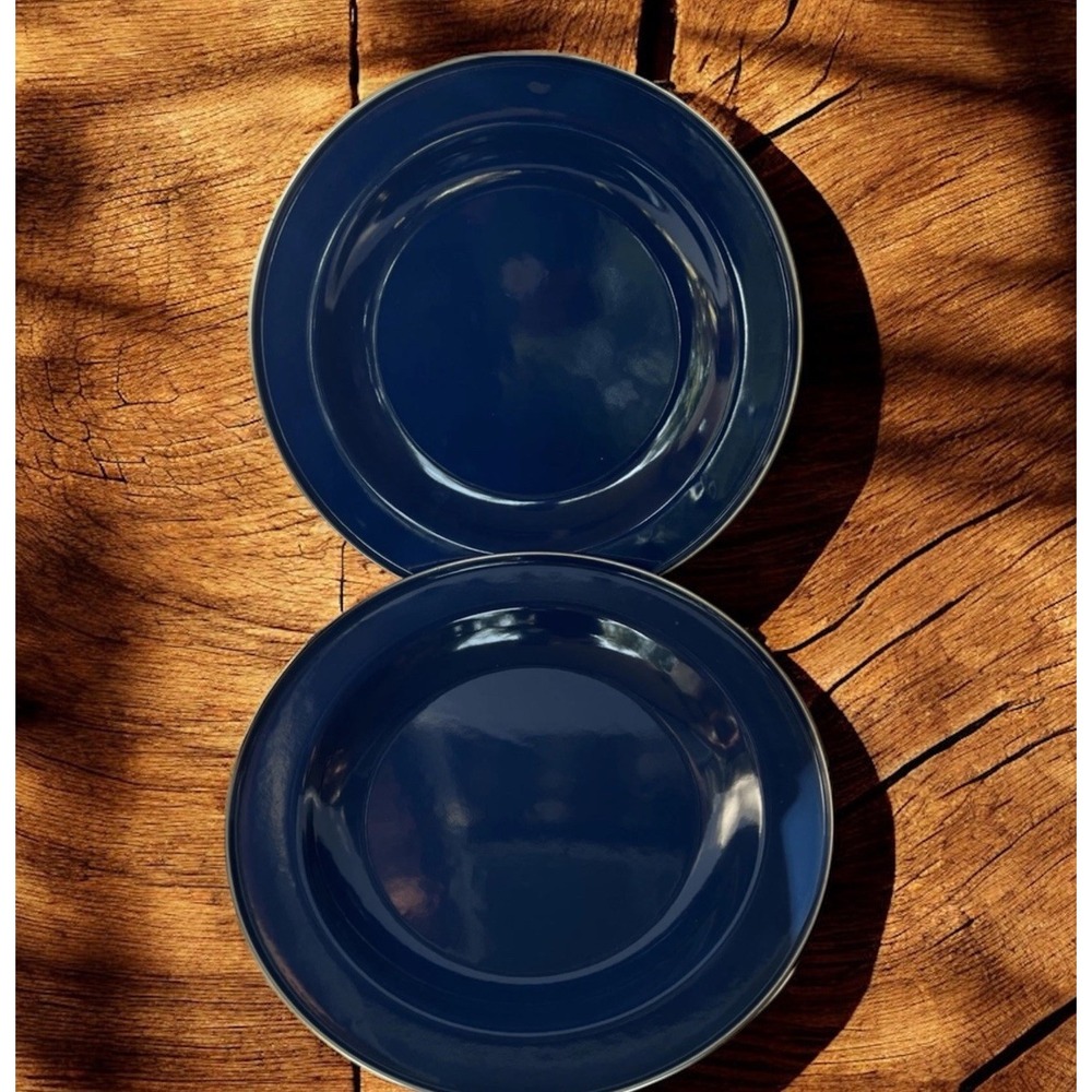 Discontinued Pottery Barn Enamelware Plate Blue 10" Set x2 Metal Partyware NOS